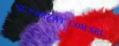 Afacere 8 imagine FARZAT COM SRL Shopping în Bucureşti