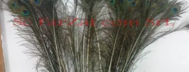 Afacere 14 imagine FARZAT COM SRL Shopping în Bucureşti