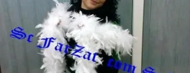 Afacere 19 imagine FARZAT COM SRL Shopping în Bucureşti