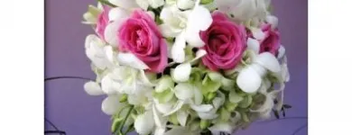 Afacere 8 imagine FLORARIE ONLINE - THE SECRET GARDEN Shopping în Bucureşti