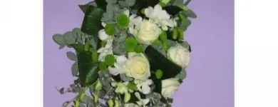 Afacere 9 imagine FLORARIE ONLINE - THE SECRET GARDEN Shopping în Bucureşti