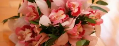 Afacere 17 imagine FLORARIE ONLINE - THE SECRET GARDEN Shopping în Bucureşti