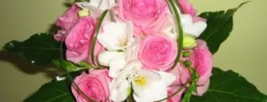 Afacere 18 imagine FLORARIE ONLINE - THE SECRET GARDEN Shopping în Bucureşti