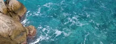 Afacere 5 imagine FUTURE TRAVEL PLANS Turism şi Agrement în Bucureşti