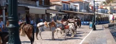 Afacere 7 imagine FUTURE TRAVEL PLANS Turism şi Agrement în Bucureşti