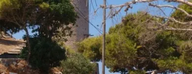 Afacere 9 imagine FUTURE TRAVEL PLANS Turism şi Agrement în Bucureşti