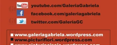 Afacere 9 imagine GABRIELA CALINOIU PFA Servicii profesionale în Bucureşti