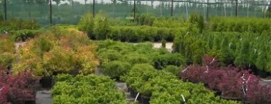 Afacere 2 imagine GREEN SPOT SRL Servicii profesionale în Braşov