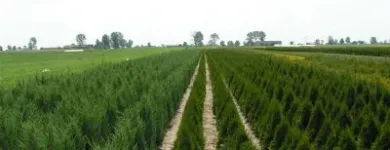 Afacere 3 imagine GREEN SPOT SRL Servicii profesionale în Braşov