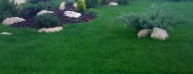 Afacere 8 imagine GREEN SPOT SRL Servicii profesionale în Braşov