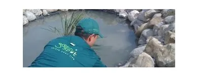 Afacere 9 imagine GREEN SPOT SRL Servicii profesionale în Braşov