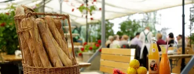 Afacere 8 imagine HANU' BERARILOR CASA ELENA LUPESCU Restaurant cu specific est-european în Bucuresti B