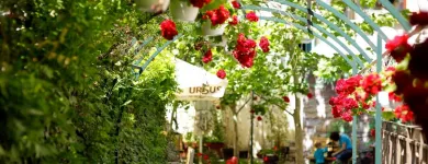 Afacere 11 imagine HANU' BERARILOR CASA ELENA LUPESCU Restaurant cu specific est-european în Bucuresti B