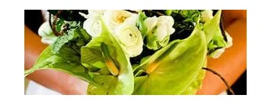 Afacere 12 imagine HAPPY EVENTS Shopping în Bacău