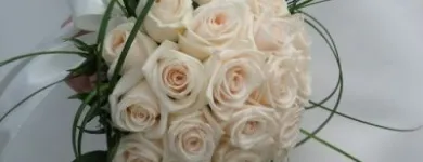 Afacere 13 imagine HAPPY EVENTS Shopping în Bacău