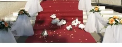 Afacere 16 imagine HAPPY EVENTS Shopping în Bacău