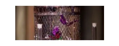 Afacere 18 imagine HAPPY EVENTS Shopping în Bacău