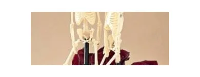 Afacere 19 imagine HAPPY EVENTS Shopping în Bacău