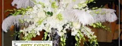 Afacere 37 imagine HAPPY EVENTS Shopping în Bacău