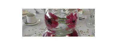 Afacere 43 imagine HAPPY EVENTS Shopping în Bacău