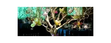 Afacere 49 imagine HAPPY EVENTS Shopping în Bacău