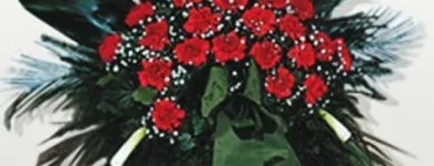 Afacere 2 imagine LA CAPATUL DRUMULUI Servicii profesionale în Oradea BH