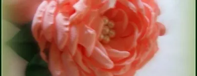 Afacere 2 imagine MAN SIMONA IULIA PFA Shopping în Cluj-Napoca CJ