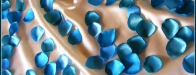 Afacere 4 imagine MAN SIMONA IULIA PFA Shopping în Cluj-Napoca CJ