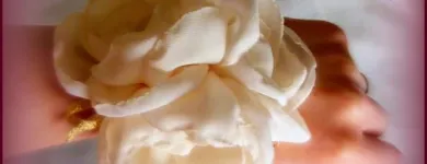 Afacere 13 imagine MAN SIMONA IULIA PFA Shopping în Cluj-Napoca CJ