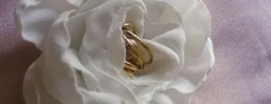 Afacere 17 imagine MAN SIMONA IULIA PFA Shopping în Cluj-Napoca CJ