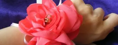 Afacere 19 imagine MAN SIMONA IULIA PFA Shopping în Cluj-Napoca CJ