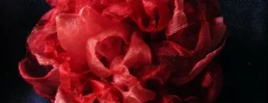 Afacere 21 imagine MAN SIMONA IULIA PFA Shopping în Cluj-Napoca CJ