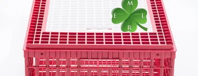 Afacere 2 imagine MERL PLASTIC SRL Producători şi distribuitori de mase plastice în Craiova DJ