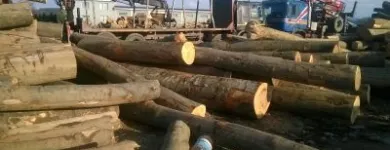 Afacere 11 imagine PALETI PRODUCEM RECICLAM Produse din lemn în Timişoara TM