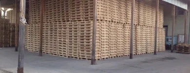 Afacere 14 imagine PALETI PRODUCEM RECICLAM Produse din lemn în Timişoara TM