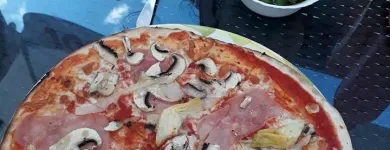 Afacere 10 imagine PENSIONE VITTORIA Turism şi Agrement în Beiuş BH