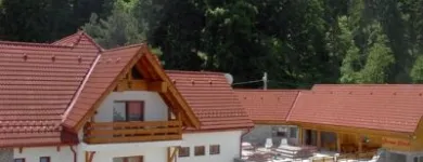 Afacere 22 imagine PENSIUNEA GREEN PARK Turism şi Agrement în Braşov