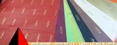 Afacere 5 imagine PROCESS COLOR.SRL Shopping în Bucureşti