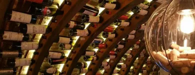 Afacere 11 imagine RESTAURANT HANU' LUI MANUC Restaurant specializat în fripturi în Bucureşti