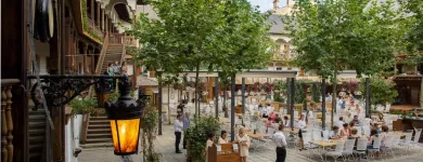 Afacere 17 imagine RESTAURANT HANU' LUI MANUC Restaurant specializat în fripturi în Bucureşti