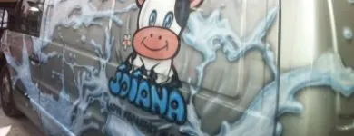 Afacere 8 imagine S.C. FOX PAINT SRL Vopsitorie auto în Timişoara TM