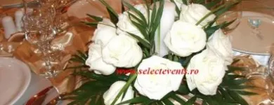 Afacere 5 imagine SC AGENTIA SELECT EVENTS SRL Servicii profesionale în Bucureşti