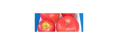 Afacere 10 imagine SC ANED PLAST DISTRIBUTION SRL Shopping în Bucureşti