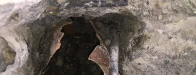 Afacere 3 imagine SC AQUA SEWER SERVICES SRL Servicii profesionale în Bucureşti