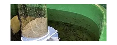 Afacere 15 imagine SC AQUATOOLS JIMIX SRL Tehnicieni proiectanţi în Oradea BH