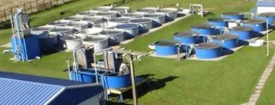 Afacere 88 imagine SC AQUATOOLS JIMIX SRL Tehnicieni proiectanţi în Oradea BH