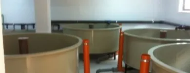 Afacere 90 imagine SC AQUATOOLS JIMIX SRL Tehnicieni proiectanţi în Oradea BH