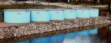 Afacere 99 imagine SC AQUATOOLS JIMIX SRL Tehnicieni proiectanţi în Oradea BH