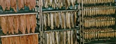 Afacere 117 imagine SC AQUATOOLS JIMIX SRL Tehnicieni proiectanţi în Oradea BH