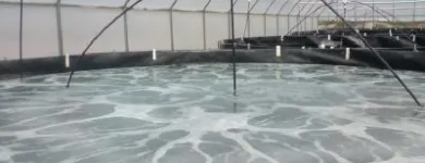 Afacere 119 imagine SC AQUATOOLS JIMIX SRL Tehnicieni proiectanţi în Oradea BH